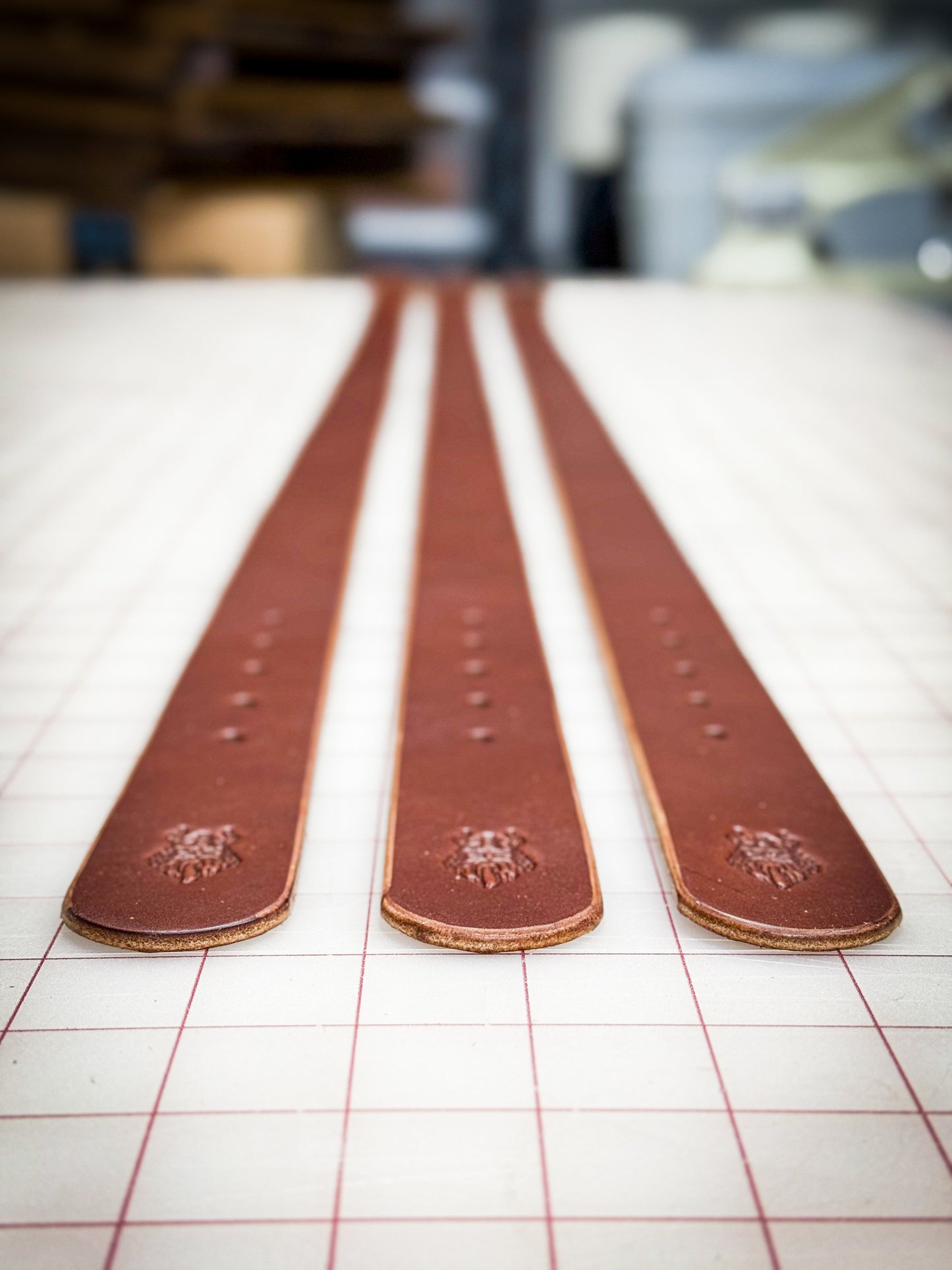 Belt
